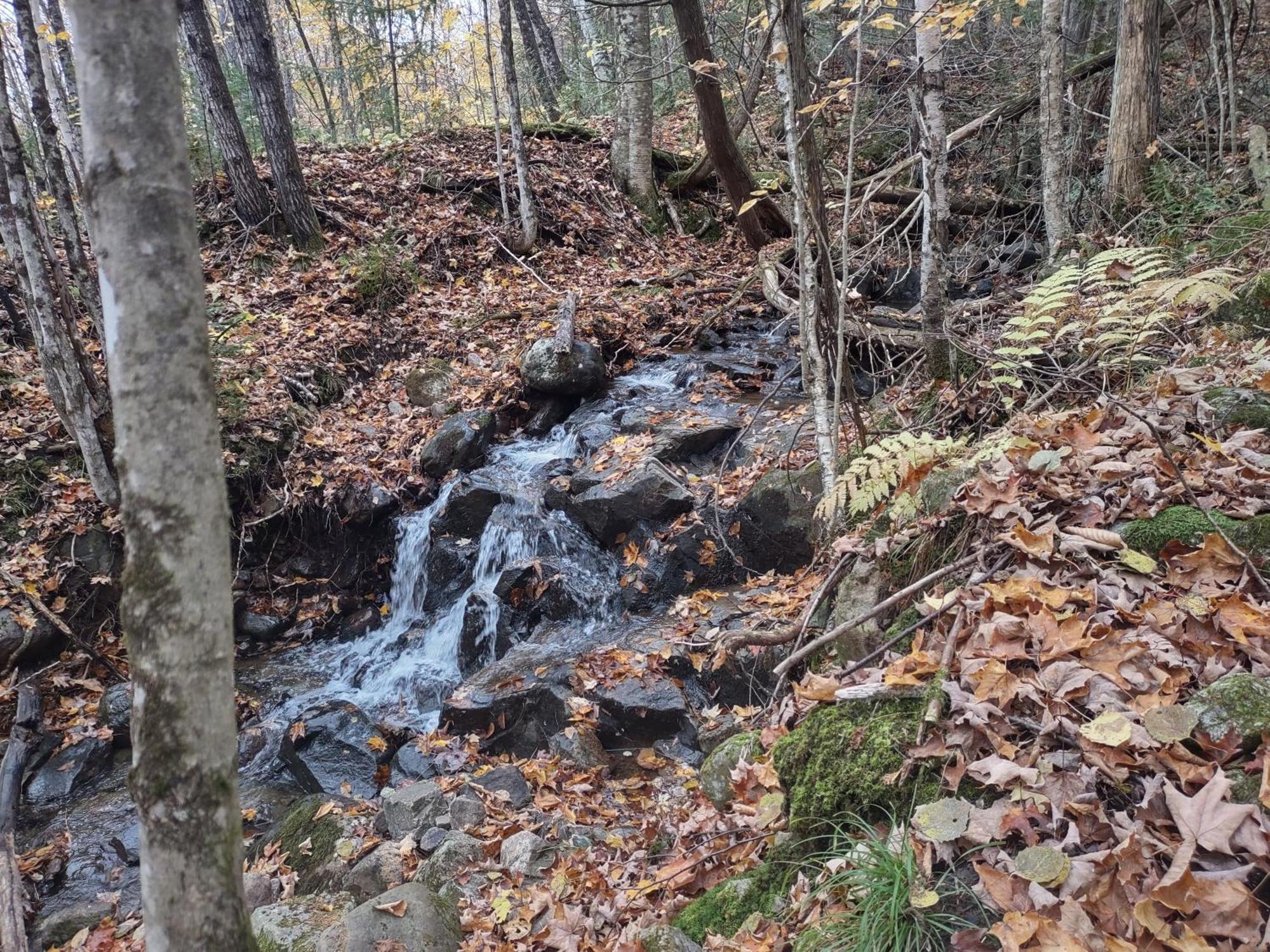 Hebergement De La Montagne St-Roch Saint Roch de Mekinac Eksteriør billede